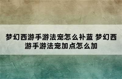 梦幻西游手游法宠怎么补蓝 梦幻西游手游法宠加点怎么加